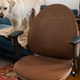 Image for article titled Home Office Ideas to Make Your Space Actually Livable
